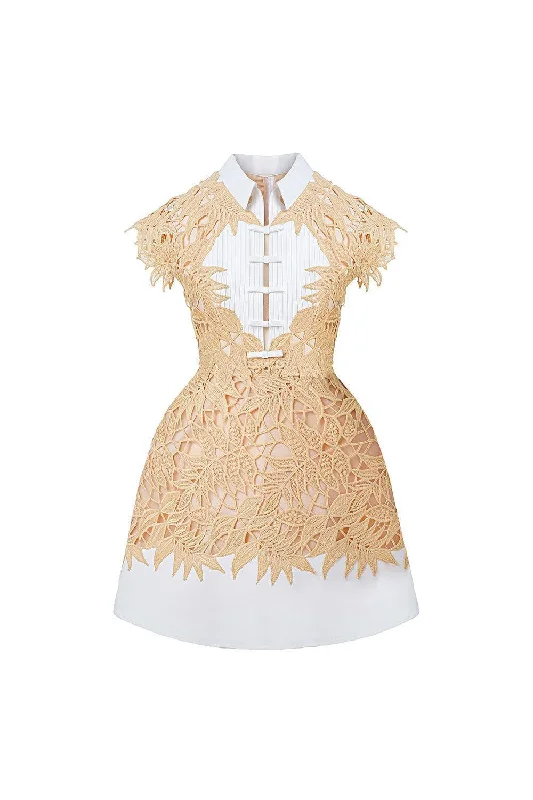 Party Dresses with Satin and Lace Trimmed Neckline and Ruffled Sleeves and Embroidered Skirt for Ladies' Sophisticated and Intricate LookRachel A-line Collared Neck Lace Mini Dress Party Dresses with Satin and Lace Trimmed Neckline and Ruffled Sleeves and Embroidered Skirt for Ladies' Sophisticated and Intricate LookRachel A-line Collared Neck Lace Mini Dress