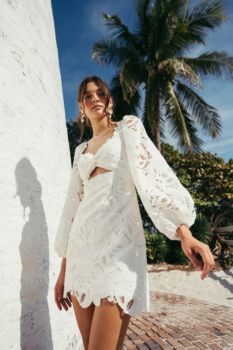 Party Dresses with High Neck and Embroidered Back for Ladies' Modest and Intricate LookJenny Yoo Little White Dress Chaya Party Dresses with High Neck and Embroidered Back for Ladies' Modest and Intricate LookJenny Yoo Little White Dress Chaya